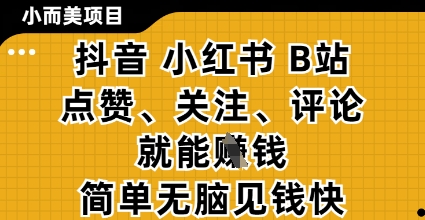 小而美的项目，抖音小红书B站视频点赞、关注、评论就能挣钱，简单无脑立见收益，妥妥的零撸项目【揭秘】-仙女副业网