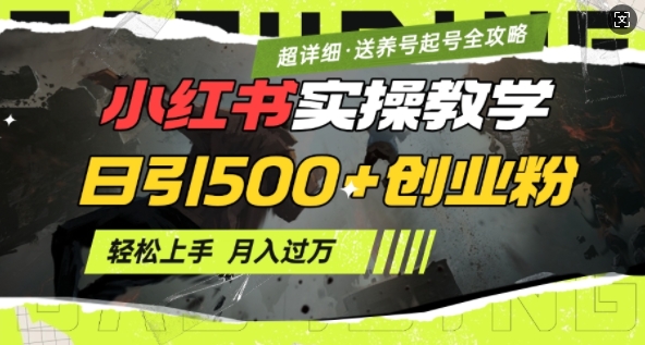 2月小红书最新日引500+创业粉实操教学【超详细】小白轻松上手，月入1W+，附小红书养号起号SOP-仙女副业网