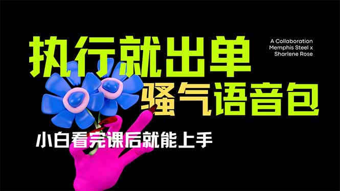 爆火全网的开车导航骚气语音包,只要执行就出单，小白看完课程就能实操...-仙女副业网