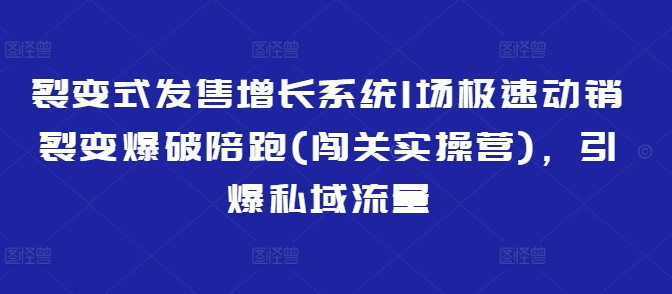 裂变式发售增长系统1场极速动销裂变爆破陪跑(闯关实操营)，引爆私域流量-仙女副业网