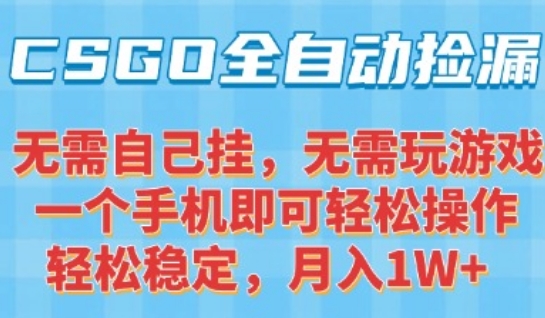 CSGO自动捡漏项目，最新独家玩法，一个手机可操作，新手小白轻松月入1W+，操作简单易上手【揭秘】-仙女副业网
