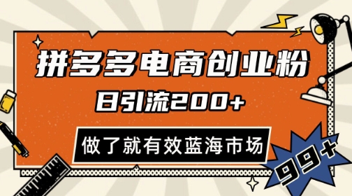 拼多多引流电商创业粉，日引200+，可矩阵放大，做了就有效【揭秘】-仙女副业网