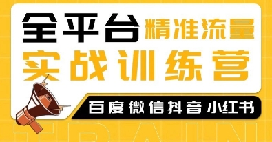 全平台精准流量实战训练营，百度微信抖音小红书SEO引流教程-仙女副业网