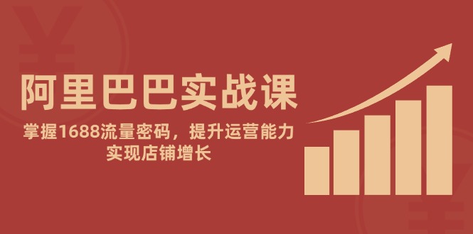 阿里巴巴实战课：掌握1688流量密码，提升运营能力，实现店铺增长-仙女副业网