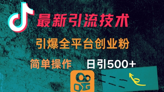 最新引流方法，引爆全平台的一个创业粉，简单操作日引300+-仙女副业网