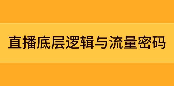 直播底层逻辑与流量密码：定位模型+案例拆解，急速流承接与数据优化全攻略-仙女副业网