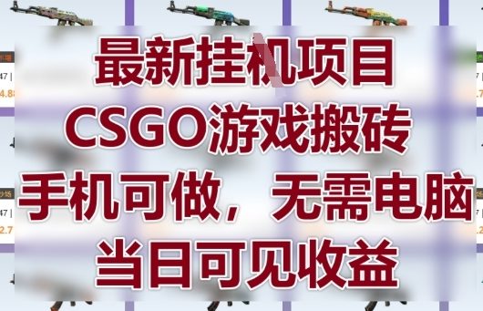 最新挂G项目，CSGO游戏搬砖，手机可做，无需电脑，当日见收益【揭秘】-仙女副业网