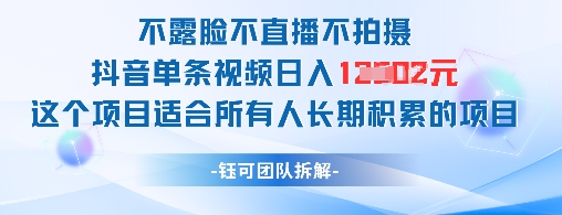 不露脸不直播不拍摄抖音单条视频日入1k+这个项目适合所有人长期积累的项目-仙女副业网