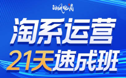 白凤电商·淘系运营21天速成班(更新7月)-仙女副业网