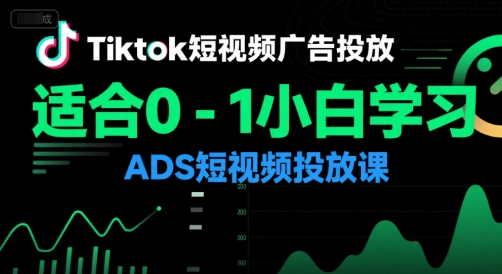 Tiktok短视频广告投放，适合0-1小白学习ADS短视频投放课-仙女副业网