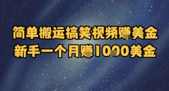 简单搬运搞笑视频挣美金，新手一个月入1k美金-仙女副业网