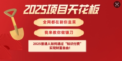 2025项目天花板普通人如何通过知识付费，实现财F自由【揭秘】-仙女副业网