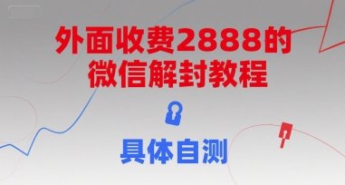 外面收费2888的微信解封教程，具体自测-仙女副业网